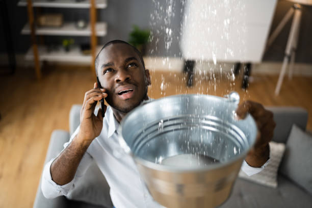 Best Water damage restoration process  in Roosevelt Park, MI