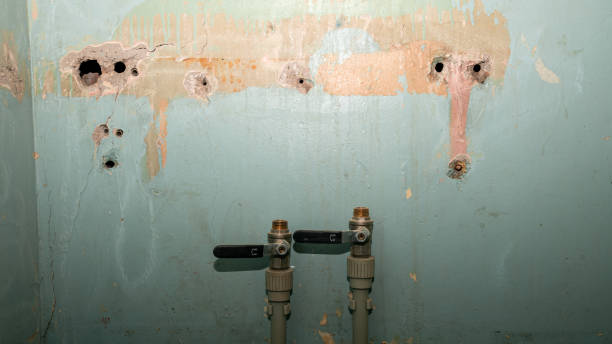 Best Basement water damage restoration  in Roosevelt Park, MI