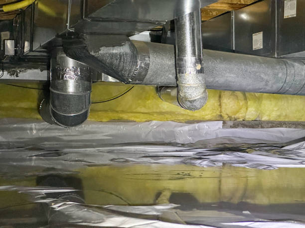 Best Water damage restoration company  in Roosevelt Park, MI