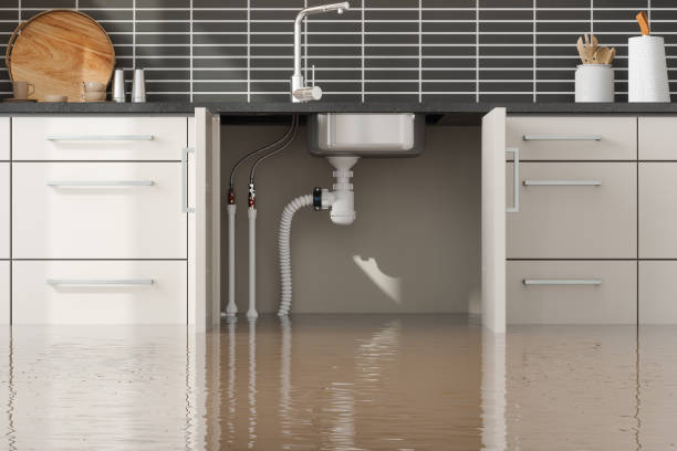 Best Ceiling water damage repair  in Roosevelt Park, MI
