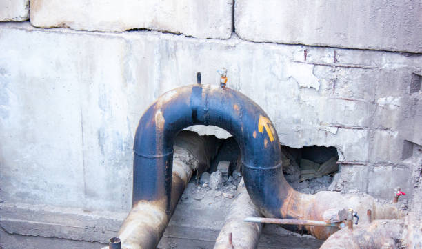 Best Water damage cleanup near me  in Roosevelt Park, MI